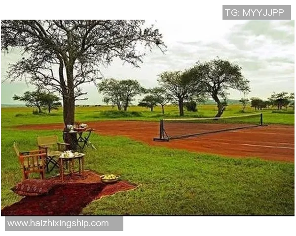 北京网球队整体压制现象解析及其对网球发展的影响探讨