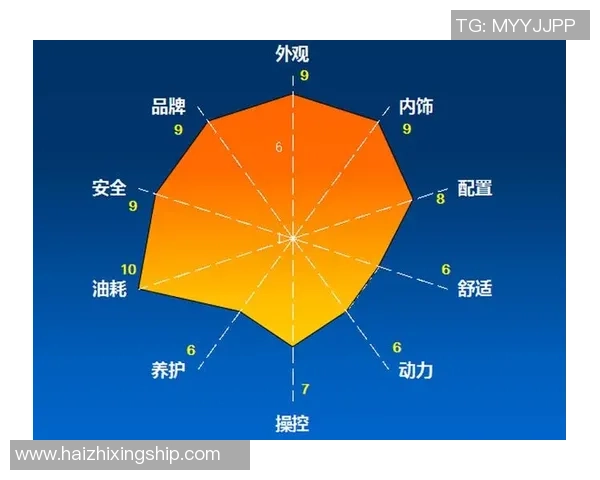 武汉排球队的转型之路：从传统到现代的全面革新探索